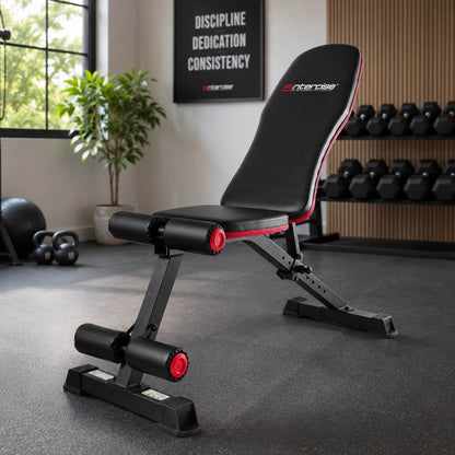 Entercise Adjustable Bench
